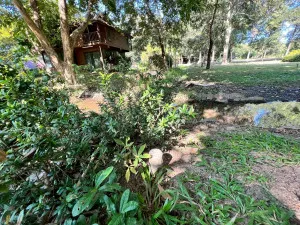 ขายที่ดิน 1 ไร่กว่า ที่แปลงสวยจังหวัดเชียงใหม่ วิวสวย ข่วงเปา จอมทอง เชียงใหม่ CX-141492