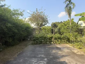 ขายที่ดิน พร้อมสิ่งปลูกสร้าง ประชาชื่น  บางเขน เมืองนนทบุรี นนทบุรี CX-145701