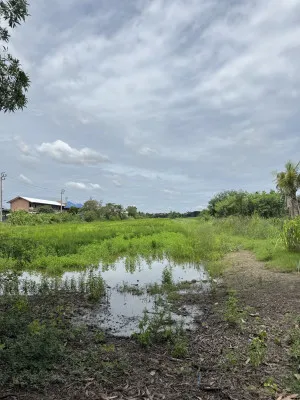 ขายถนนบางบัวทอง-สุพรรณบุรี ราษฎร์นิยม ไทรน้อย นนทบุรี CX-151626