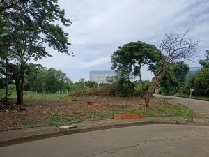 เช่าที่ดินเปล่า  บ้านสีวลี รังสิต 1 ประชาธิปัตย์ ธัญบุรี ปทุมธานี CX-97260